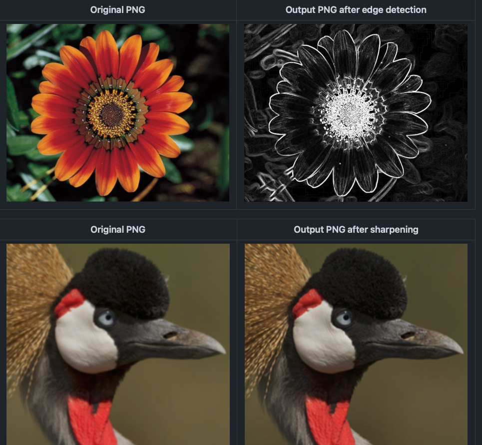 Edge-detection output from the image-processing tool
